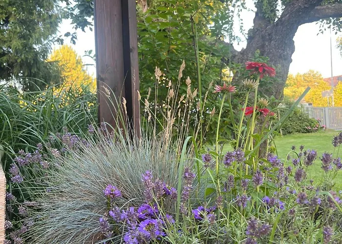 Dom Ogrodnika Apartman